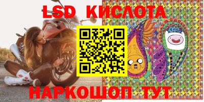 кокс Кингисепп