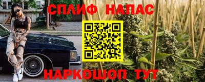 стаф Кинель