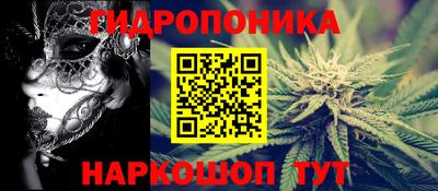 стаф Кинель