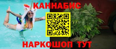 стаф Кинель