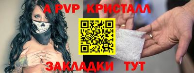 кокс Кингисепп