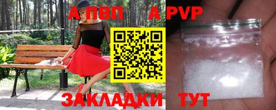 кокс Кингисепп