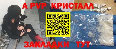 кокс Кингисепп