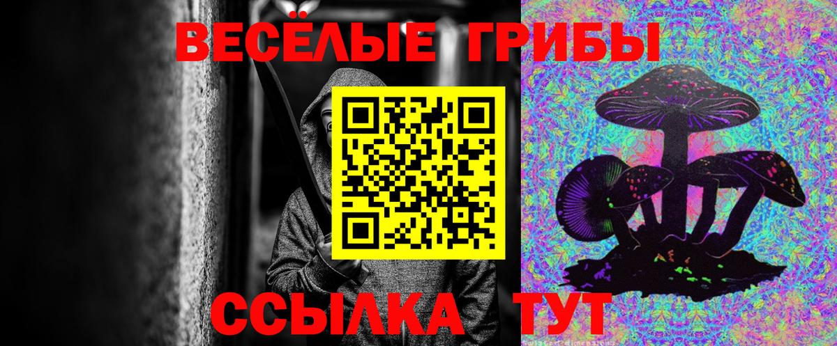 Псилоцибиновые грибы Psilocybe Кузнецк